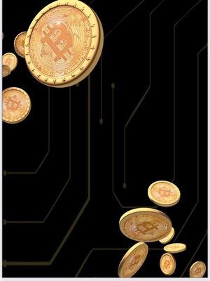 cover image of Digital Money, Real Impact